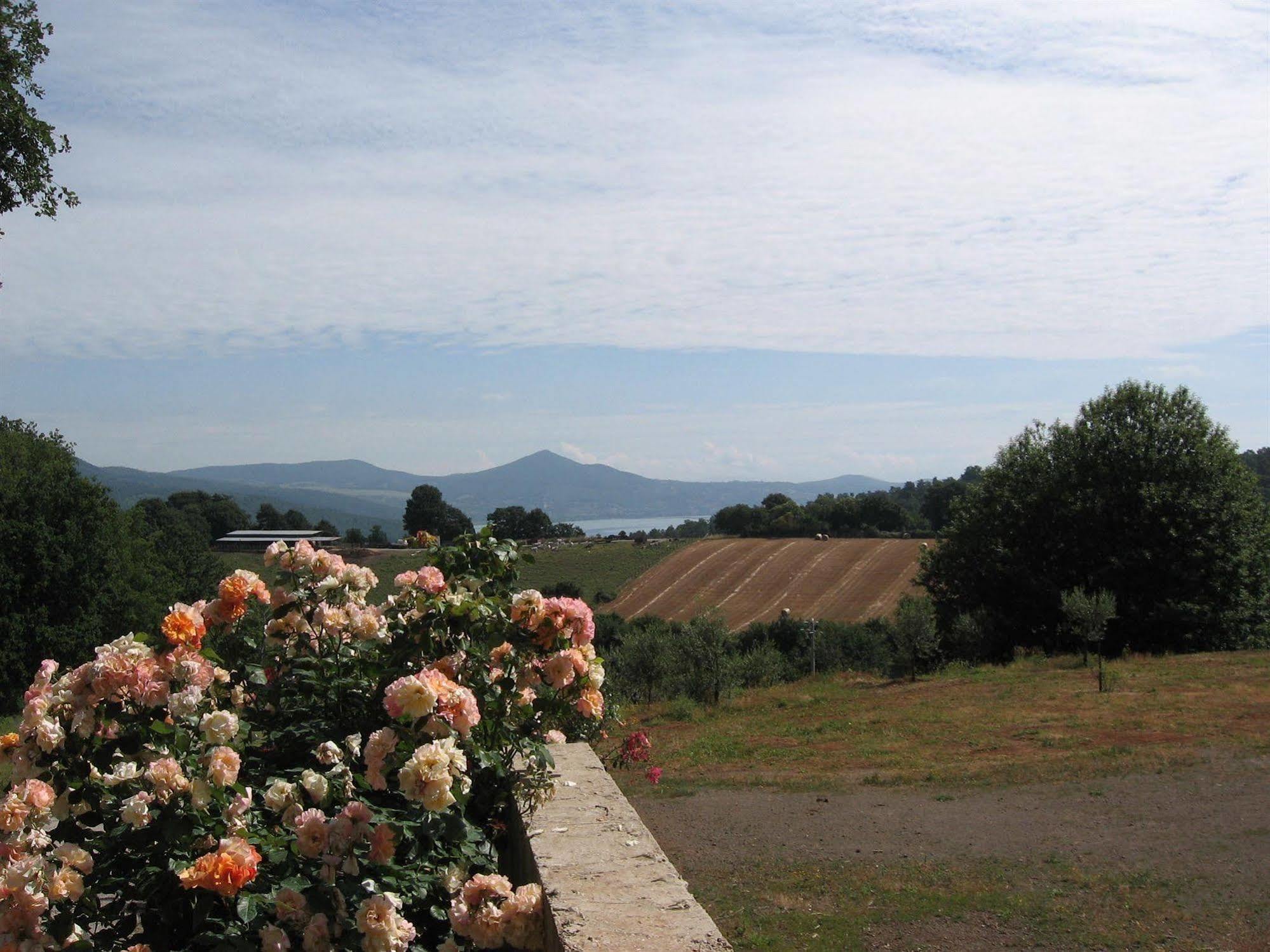 Agriturismo La Gismonda Bracciano  Bagian luar foto